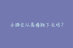 小猫会从高楼跳下去吗？