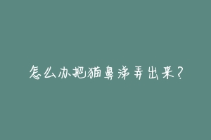 怎么办把猫鼻涕弄出来?