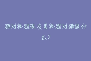猫对狐狸很友善狐狸对猫很什么?