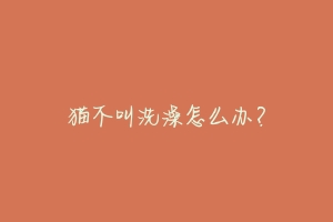 猫不叫洗澡怎么办？