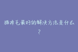 猫掉毛最好的解决方法是什么?
