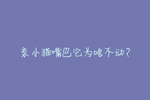 亲小猫嘴巴它为啥不动?