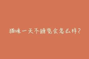 猫咪一天不睡觉会怎么样?