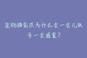 宠物猫前爪为什么会一会儿张开一会握紧？