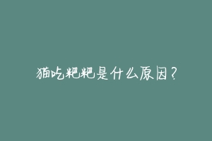 猫吃粑粑是什么原因?