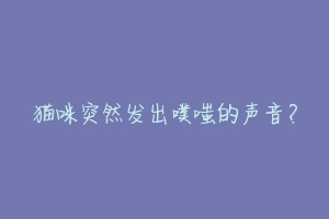 猫咪突然发出噗嗤的声音?
