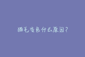 猫毛变色什么原因?