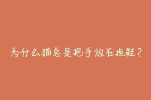 为什么猫总是把手放在拖鞋？