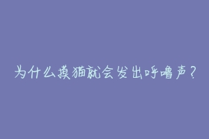 为什么摸猫就会发出呼噜声?