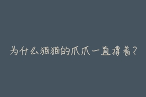 为什么猫猫的爪爪一直撑着?