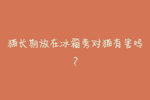 猫长期放在冰箱旁对猫有害吗？
