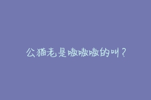公猫老是嗷嗷嗷的叫?