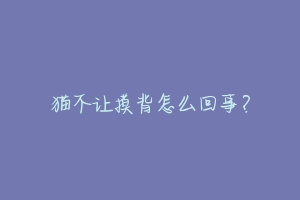 猫不让摸背怎么回事?