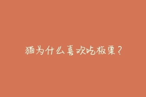 猫为什么喜欢吃板栗?