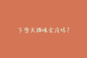 下雪天猫咪会冷吗?