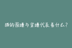 猫的圆瞳与竖瞳代表着什么?