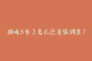 猫咪3岁了怎么还是很调皮?