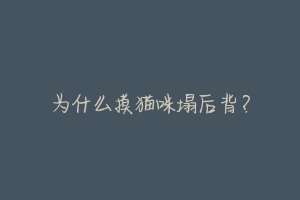 为什么摸猫咪塌后背？
