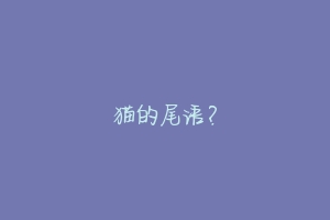 猫的尾语？