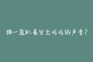 猫一直趴着发出呜呜的声音？