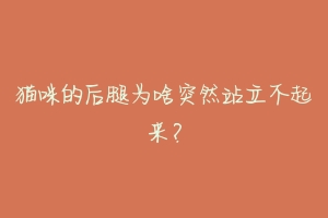 猫咪的后腿为啥突然站立不起来？