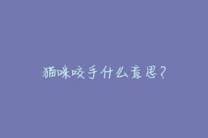 猫咪咬手什么意思?