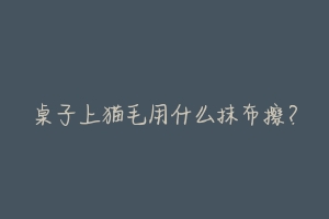 桌子上猫毛用什么抹布擦?