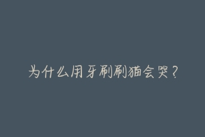 为什么用牙刷刷猫会哭?