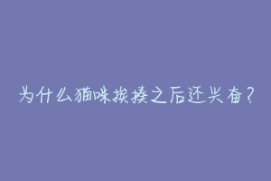 为什么猫咪挨揍之后还兴奋？