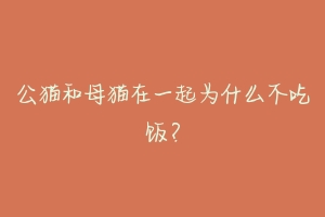 公猫和母猫在一起为什么不吃饭?