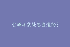 公猫小便处总是湿的?