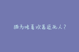 猫为啥喜欢靠近死人？