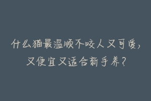什么猫最温顺不咬人又可爱,又便宜又适合新手养?