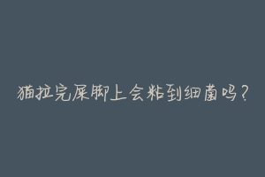 猫拉完屎脚上会粘到细菌吗?