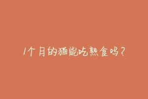 1个月的猫能吃熟食吗?