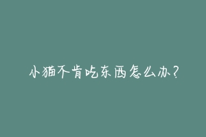 小猫不肯吃东西怎么办?