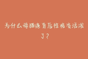 为什么母猫绝育后性格变活泼了？