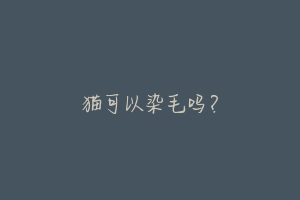 猫可以染毛吗？