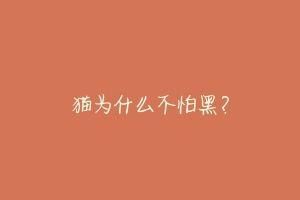 猫为什么不怕黑?