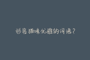 形容猫咪优雅的词语？