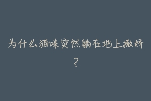 为什么猫咪突然躺在地上撒娇？