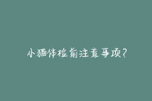 小猫体检前注意事项?