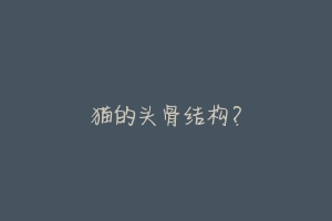 猫的头骨结构?