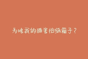 为啥我的猫害怕纸箱子？
