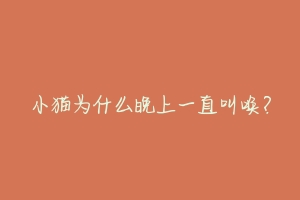 小猫为什么晚上一直叫唤?