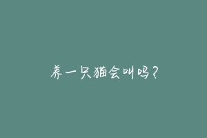 养一只猫会叫吗?