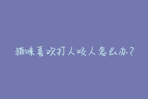 猫咪喜欢打人咬人怎么办?