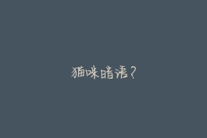 猫咪暗语?