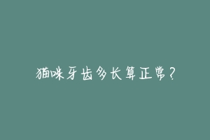 猫咪牙齿多长算正常?