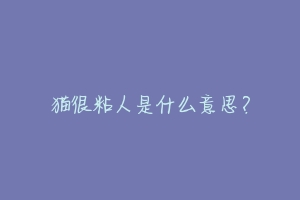 猫很粘人是什么意思?